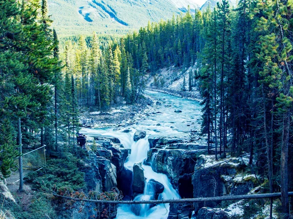 Sonbaharın Ortasında Sunwapta Şelalesi Jasper Ulusal Parkı Alberta Kanada — Stok fotoğraf