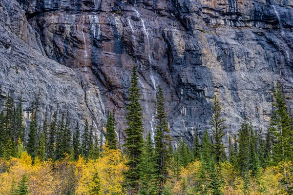Kleurrijk Worden Aan Huilmuur Nationaal Park Banff Alberta Canada — Stockfoto