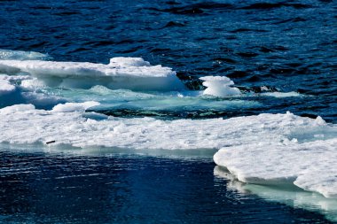 Baharın başında Waterton Gölü 'nün ortası. Waterton Lakes Ulusal Parkı, Alberta, Kanada