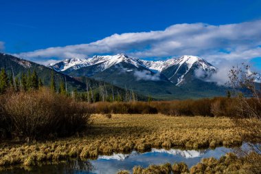 Parlak bir bahar sabahı Vermillion Gölleri 'nde. Banff Ulusal Parkı, Alberta, Kanada
