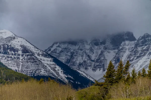 Utsikt Över Waterton Från Roadisde Waterton Lakes National Park Alberta — Stockfoto