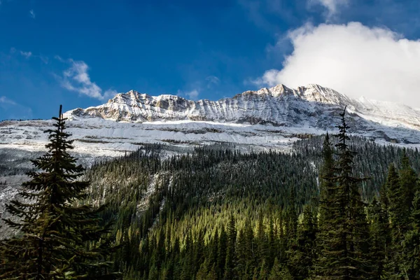 Puncak Gunung Yoho Taman Nasional Yoho British Columbia Kanada — Stok Foto
