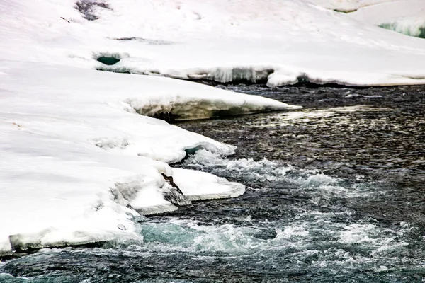 Bow Falls Inverno Banff National Park Alberta Canadá — Fotografia de Stock