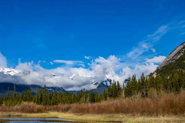 Blick Vom Bow Valley Parkway Auf Die Rockies Banff Nationalpark — Stockfoto