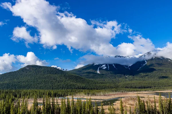 Vistas Das Montanhas Rochosas Bow Valley Parkway Banff National Park — Fotografia de Stock