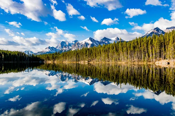 在赫伯特湖水清澈的水晶中反射 加拿大艾伯塔省班夫国家公园 — 图库照片