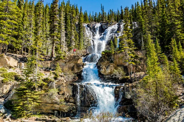 Tangle Creek Falls在春末展示了它令人敬畏的力量Jasper国家公园 加拿大艾伯塔省 — 图库照片