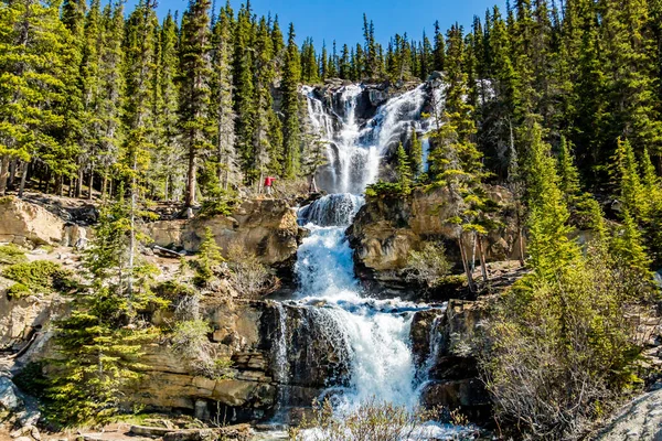 Tangle Creek Şelalesi baharın sonlarında müthiş gücünü gösteriyor. Jasper Ulusal Parkı, Alberta, Kanada