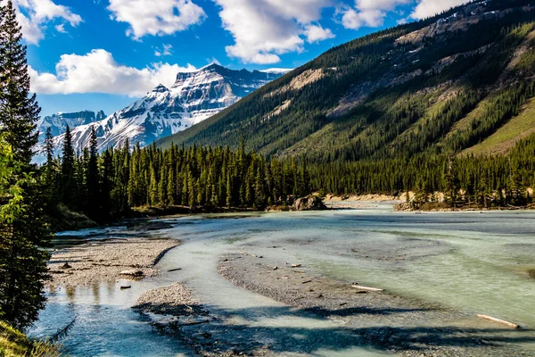 Río Bow Deambula Por Campo Trasero Icefields Parkway Parque Nacional —  Fotos de Stock