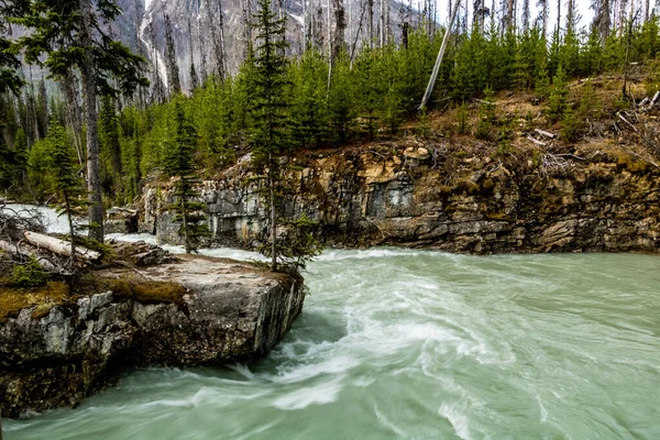 Pavillion Creek Traverse Marble Canyon Parc National Kootney Colombie Britannique — Photo