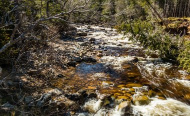 Geyik Kolu Nehri 'nin azgın suları. Gros Morne Ulusal Parkı, Newfoundland, Kanada