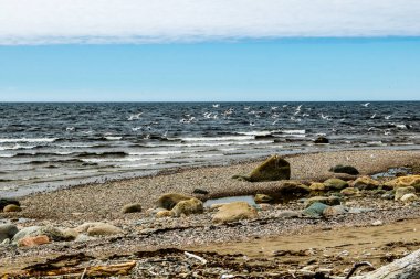 Fırtınalı bir günde Baker Creek. Gros Morne Ulusal Parkı, Newfoundland, Kanada