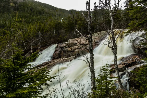 Sydöstra Brook Falls Gros Morne National Park Newfoundland Kanada — Stockfoto