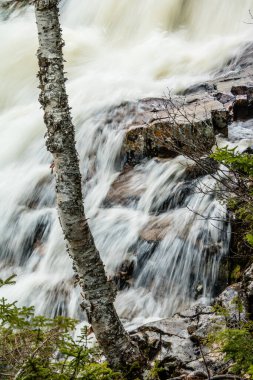 Güney Doğu Brook Falls. Gros Morne Ulusal Parkı, Newfoundland, Kanada