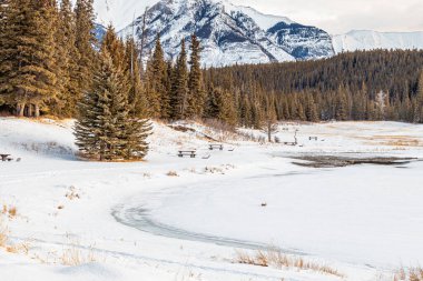 Şelale göletlerini kar kaplıyor. Banff Ulusal Parkı, Alberta, Kanada