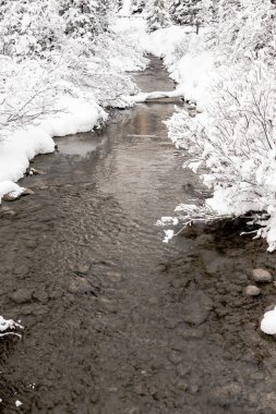 Louise Creek, Louise Gölü 'nden akar. Banff Ulusal Parkı, Alberta, Kanada