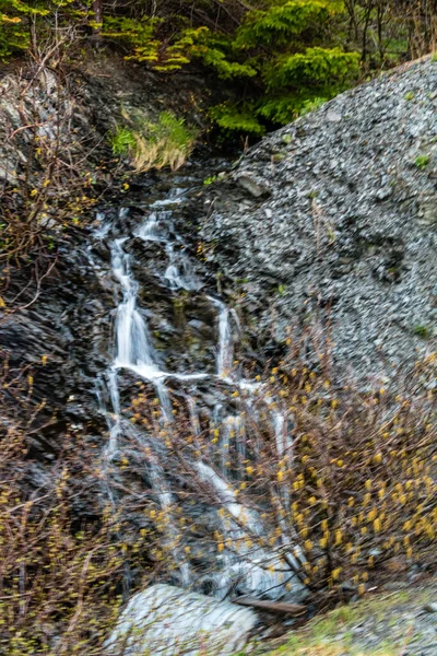 道端からの眺め グロス モーン国立公園 ニューファンドランド カナダ — ストック写真