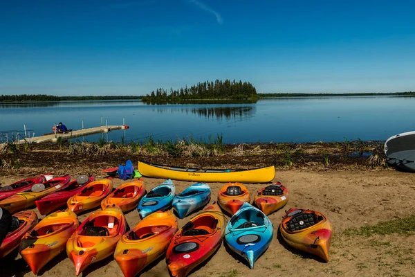 Strandfronten Ved Astoria Lake Sommeren Elk Island Nasjonalpark Alberta Canada – stockfoto