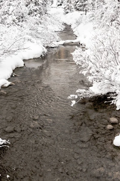 Louise Creek Coule Lake Louise Parc National Banff Alberta Canada — Photo