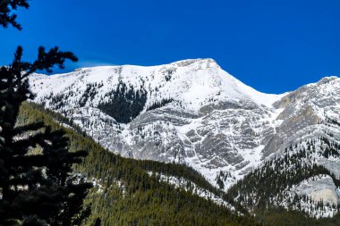 Barrier Gölü 'nün eteklerinde. Bow Valley Vahşi Yaşam Parkı. Alberta, Kanada
