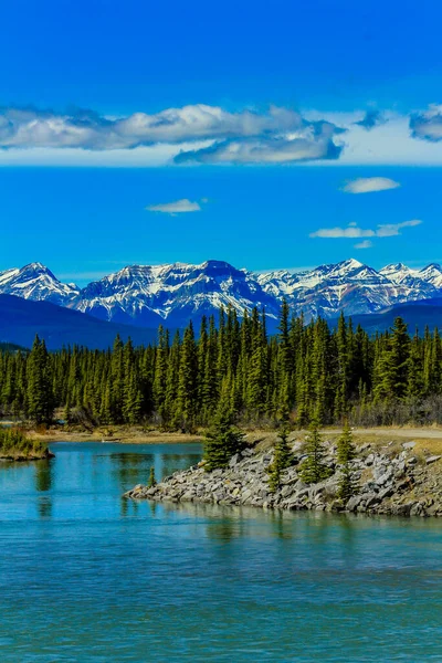 South Saskatchewan nehir yılanları parktan geçiyor. Alymer İl Eğlence Alanı. Alberta, Kanada