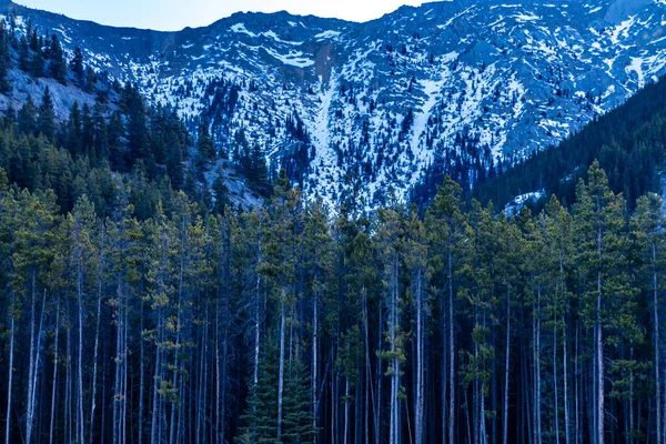 Foothills Dari Barrier Lake Taman Margasatwa Lembah Bow Alberta Kanada — Stok Foto