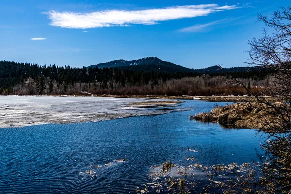 Kışın son kalıntıları. Beauvaid Gölü İl Parkı. Alberta, Kanada