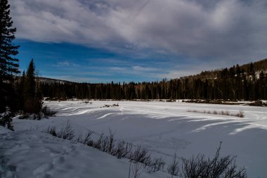 In the throws of winter. Bragg Creek Provincial Park. Alberta, Canada clipart