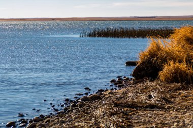 Suyun üzerinde güneş parıldıyor. McGregor Gölü İl Rekreasyon Bölgesi, Alberta, Kanada