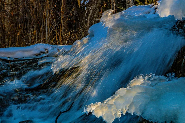 水在它周围流动 是冰冷的家 大山泉省游憩区 加拿大艾伯塔 — 图库照片