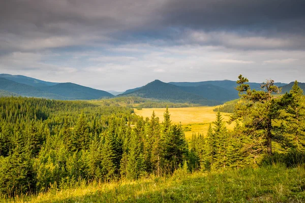 Petani Lapangan Menambahkan Percikan Warna Peternakan Glenbow Ranch Provincial Recreation — Stok Foto