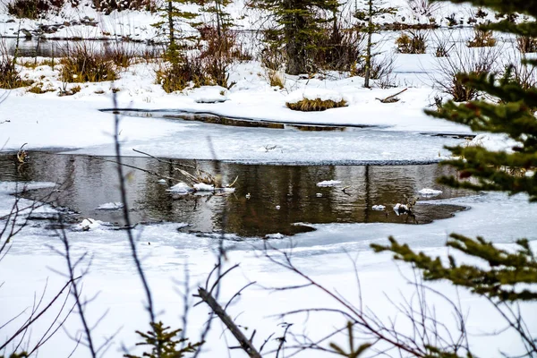 Neve Precoce All Inizio Dell Autunno Mount Lorret Ponds Parco — Foto Stock