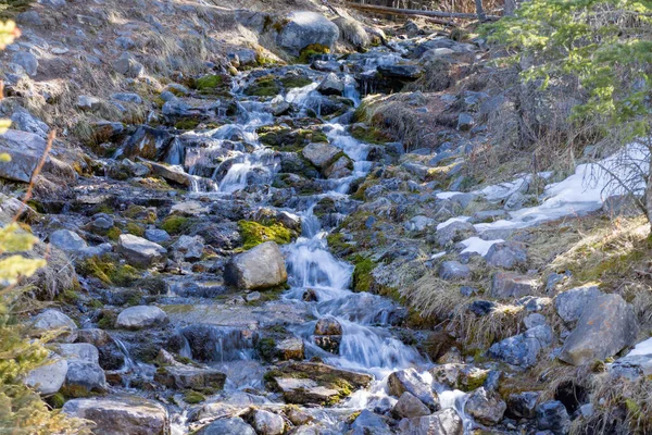 Eis Und Schnee Klammern Sich Die Shaunessy Falls Bow Valley — Stockfoto