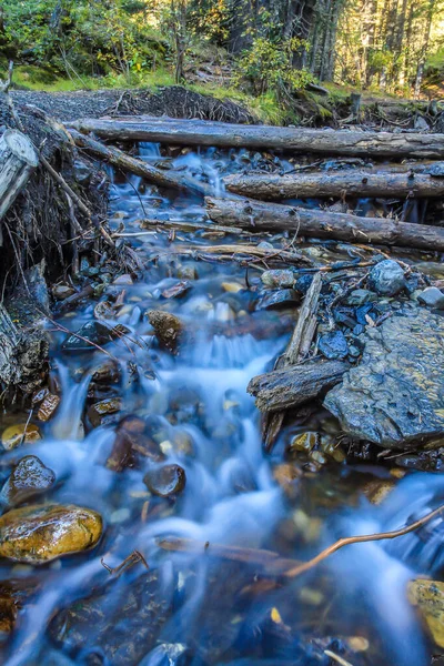 Spring Iväg Till Fårfloden Får River Provincial Park Alberta Kanada — Stockfoto