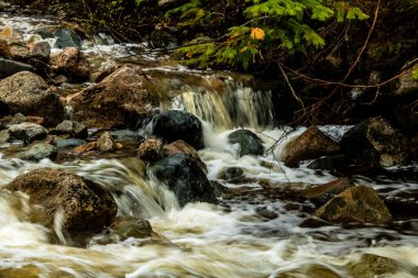 Mattie Mitchell creek, Gros Morne National Park, Newfoundland, Canada clipart