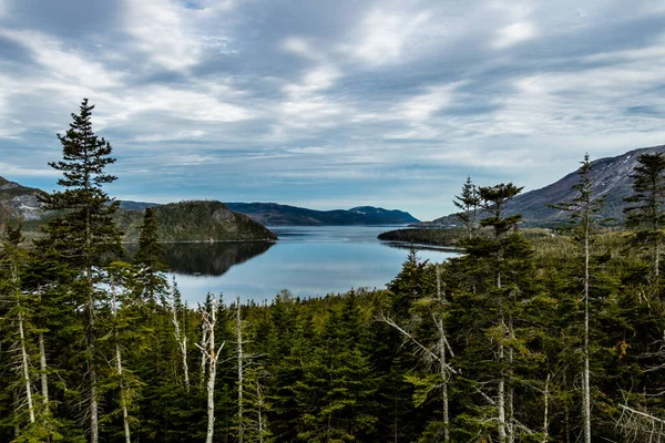 Θέα Από Την Άκρη Του Δρόμου Εθνικό Πάρκο Gros Morne — Φωτογραφία Αρχείου