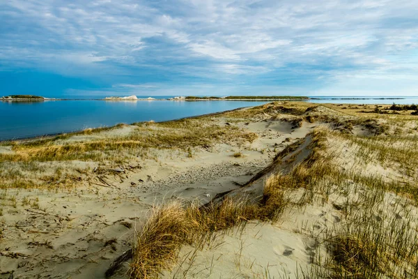 Shore Line Shallow Bay Gros Morne National Park Newfoundland Canada — Stock Photo, Image