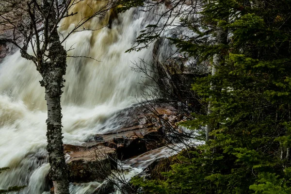 Sydöstra Brook Falls Gros Morne National Park Newfoundland Kanada — Stockfoto