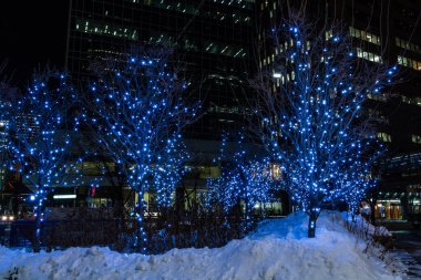 Calgary şehir merkezi Noel için aydınlandı. Calgary, Alberta, Kanada