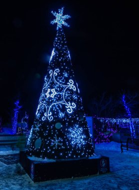 Hayvanat bahçesi ışıkları Noel sezonunun habercisi, Calgary, Alberta, Kanada