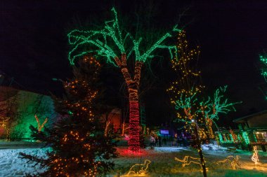 Hayvanat bahçesi ışıkları Noel sezonunun habercisi, Calgary, Alberta, Kanada