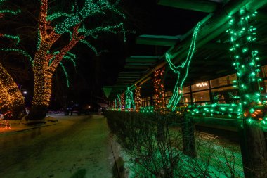 Hayvanat bahçesi ışıkları Noel sezonunun habercisi, Calgary, Alberta, Kanada