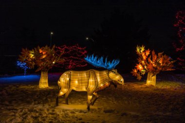 Hayvanat bahçesi ışıkları Noel sezonunun habercisi, Calgary, Alberta, Kanada