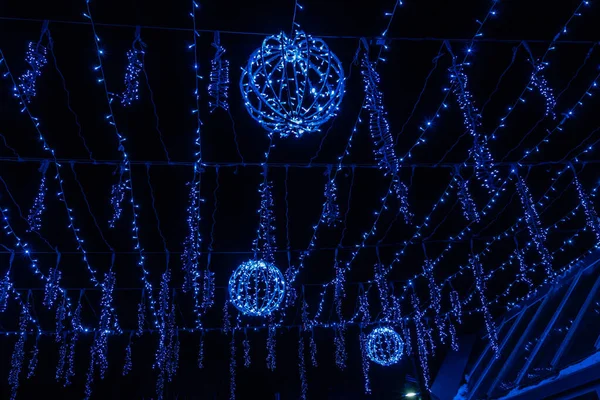 Zoo Lights Heralds Christmas Season Calgary Alberta Kanada — Zdjęcie stockowe