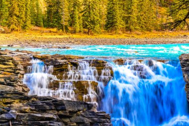 Athabaska Şelaleleri, Jasper Ulusal Parkı, Alberta, Kanada.