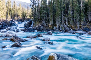 Yoho ve Kickinh Atı nehirlerinin birleşimi. Yoho Ulusal Parkı. British Columbia, Kanada.