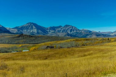 Roadisde 'den Waterton manzarası. Waterton Lakes Ulusal Parkı, Alberta, Kanada