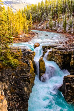Sumwapta Şelalesi 'nde akan suyun önünde büyük bir kaya duruyor. Yoho Ulusal Parkı, Alberta, Kanada