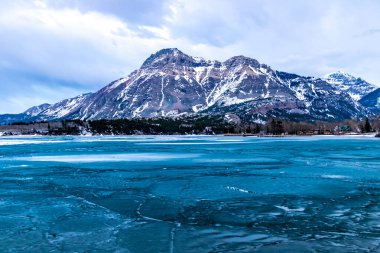 Baharın başında Waterton Gölü 'nün yukarısında. Waterton Lakes Ulusal Parkı, Alberta, Kanada