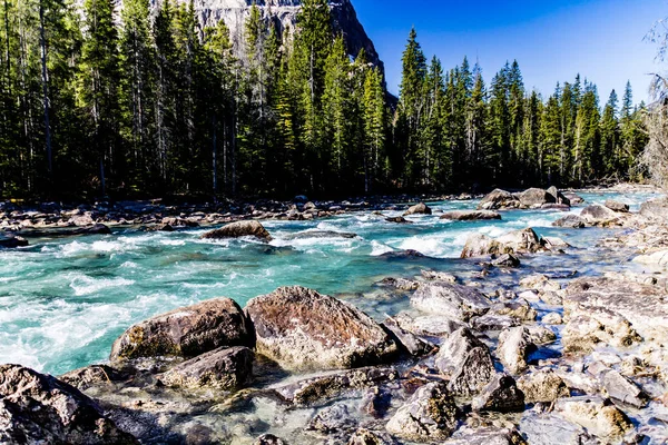 Das Reißende Wasser Des Cataract Creek Yoho Nationalpark British Columbia — Stockfoto